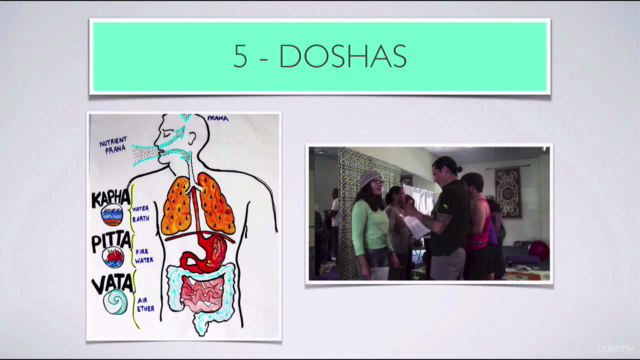 Ayurveda Basics – Screenshot 3