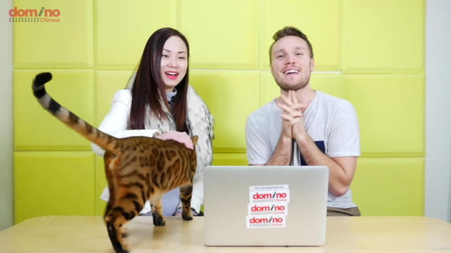 Chinese Slang – Screenshot 2