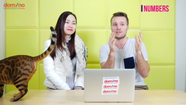 Chinese Slang – Screenshot 3