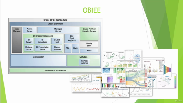 Master Oracle Basics - Over 250 Million GDP Generated – Screenshot 3
