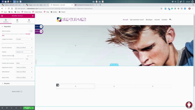 Dropshipping, Print On Demand, Wordpress & Printful – Screenshot 3