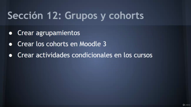 Moodle 3.8. para profesores – Screenshot 3