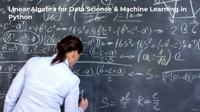 Linear Algebra for Data Science & Machine Learning in Python - Screenshot_01