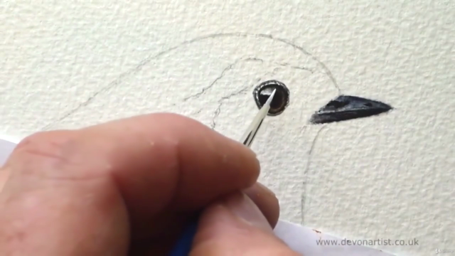 How to Paint a Realistic Robin Bird in Watercolour – Screenshot 1