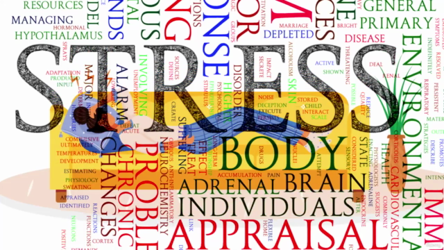 Stress Management Through Mindfulness, Yoga, and Meditation – Screenshot 1