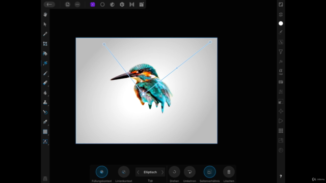 Affinity Photo IPad - Der Komplettkurs für Einsteiger – Screenshot 2