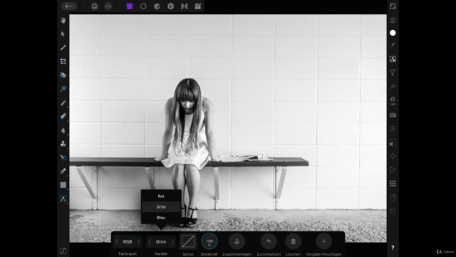 Affinity Photo IPad - Der Komplettkurs für Einsteiger – Screenshot 4