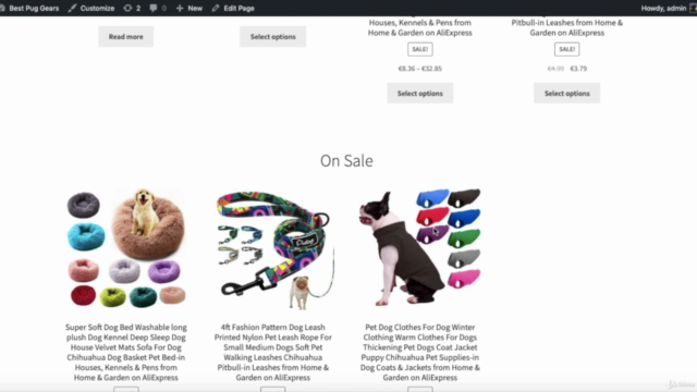 Build an eCommerce Website with WordPress & WooCommerce – Screenshot 1