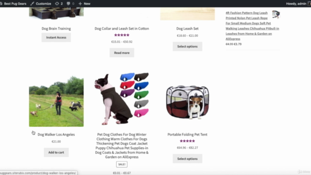 Build an eCommerce Website with WordPress & WooCommerce – Screenshot 2