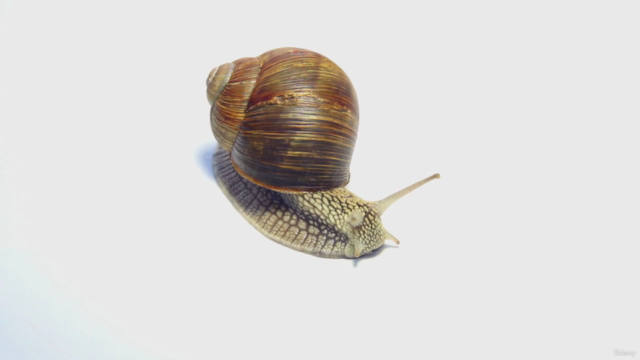 Elegant API Test Automation with Python – Screenshot 1