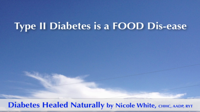 Diabetes (and Blood Sugar Issues) Healed Naturally – Screenshot 3