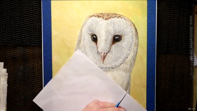 Barn Owl Watercolor Lesson – Screenshot 2