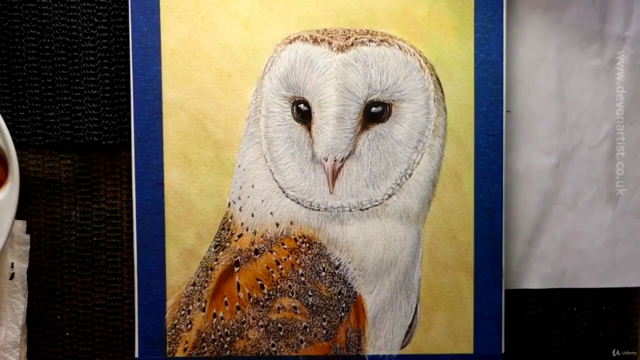 Barn Owl Watercolor Lesson – Screenshot 4