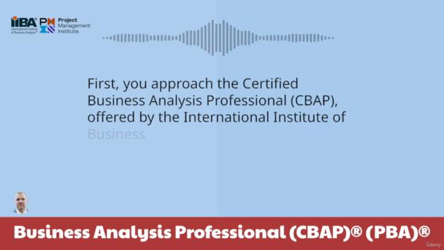 Business Analysis Professional (ECBA/CBAP) (PBA) – Screenshot 1