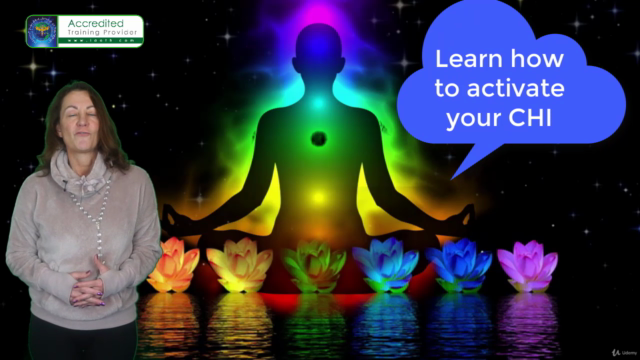 Professional One to One Chakra Healing Practitioner Course – Screenshot 3