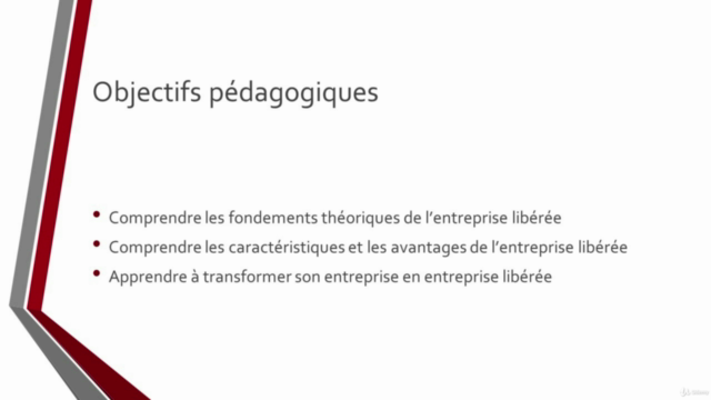 Top Manager : Comprendre l'entreprise libérée – Screenshot 3