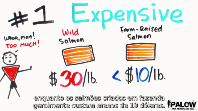 Curso Dieta Paleo: Passo a passo – Screenshot 3