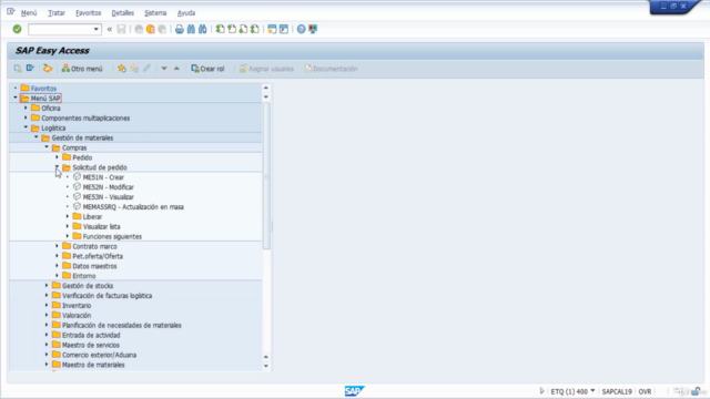 SAP MM Módulo De Compras. – Screenshot 1