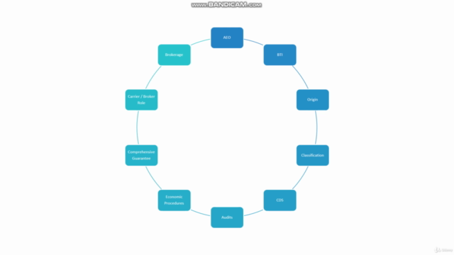 An Introduction to EU Customs and Compliance (Updated Audio) – Screenshot 4