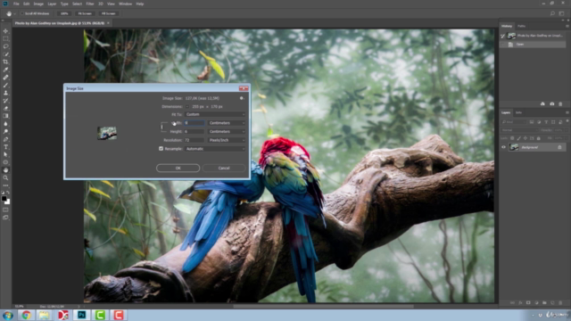 Photoshop Fundamentals – Screenshot 2