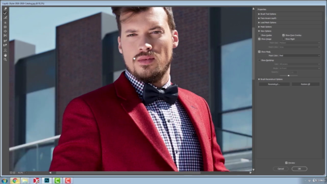 Photoshop Fundamentals – Screenshot 3