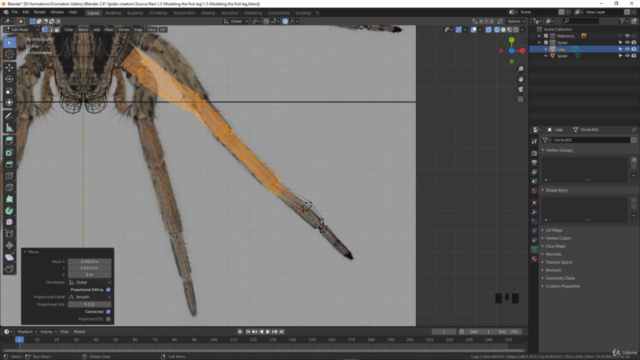 Blender 2.81 - Spiders and insects creation from scratch – Screenshot 2