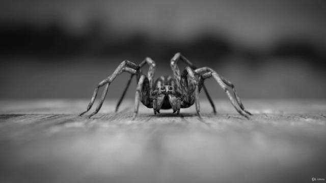 Blender 2.81 - Spiders and insects creation from scratch – Screenshot 3