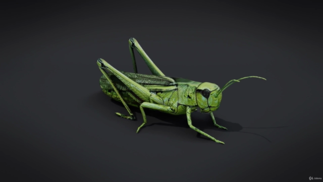 Blender 2.81 - Spiders and insects creation from scratch – Screenshot 4