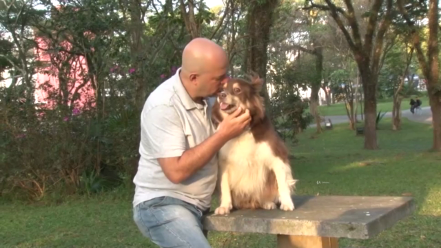 Dog Walker Profissional -Ganhe Dinheiro Passeando Com Cães – Screenshot 1