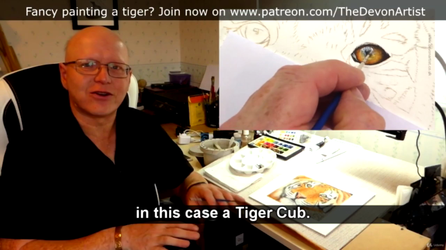 How To Paint a Realistic Tiger in Watercolour, Step by Step! – Screenshot 1