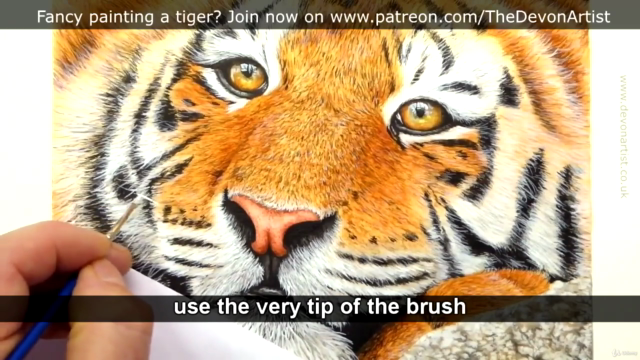 How To Paint a Realistic Tiger in Watercolour, Step by Step! – Screenshot 4