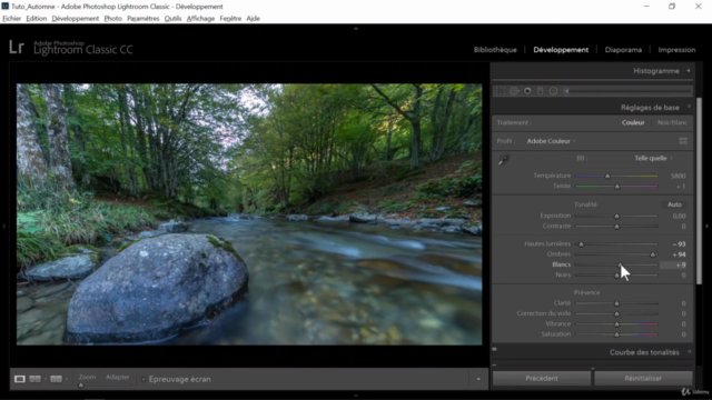 Lightroom - Couleur d'automne et Colorimétrie – Screenshot 3