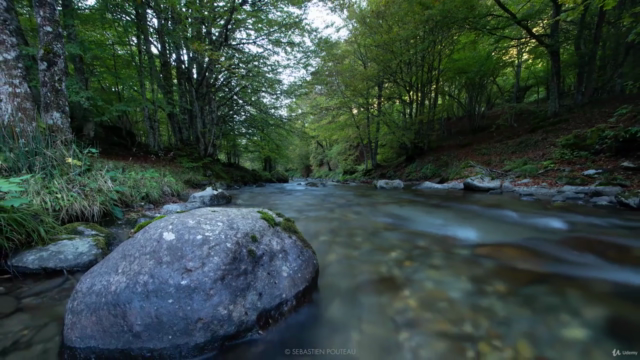 Lightroom - Couleur d'automne et Colorimétrie – Screenshot 4