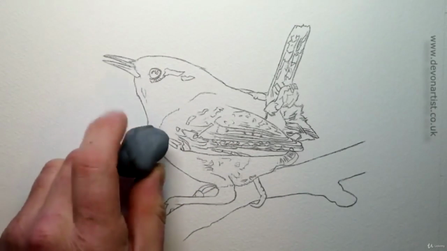Watercolour Bird Painting - How To Paint a Realistic Wren – Screenshot 1