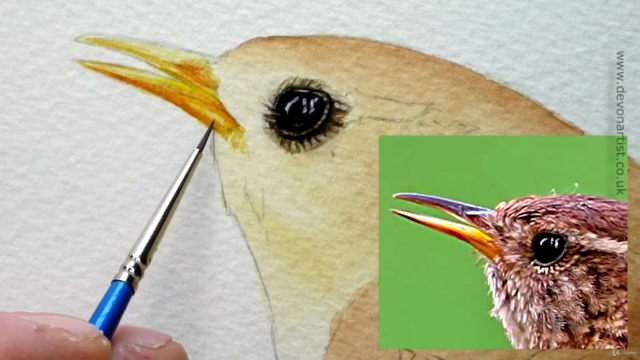 Watercolour Bird Painting - How To Paint a Realistic Wren – Screenshot 2
