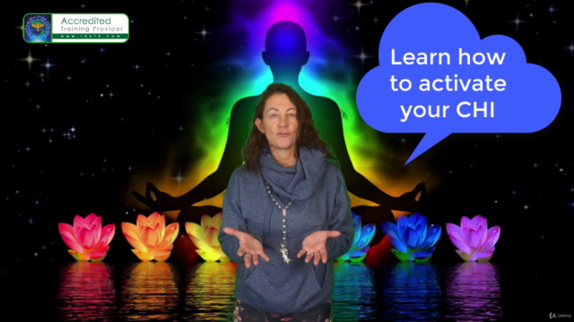 Professional Chakra Healing Practitioner - Taster Course – Screenshot 2