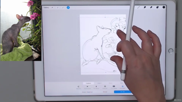 Procreate to Paper – Screenshot 3