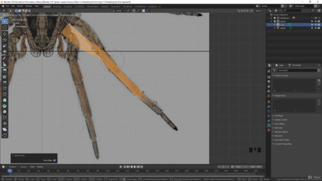 Blender 2.81 - Création d'insectes et araignées – Screenshot 2