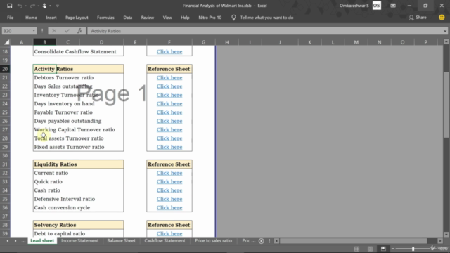 Financial analysis using ratios – Screenshot 1