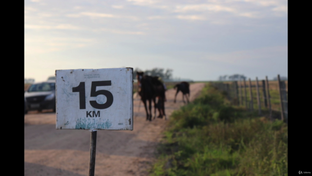 Goal Setting Success Mastery for Equestrians | Horsemanship – Screenshot 2