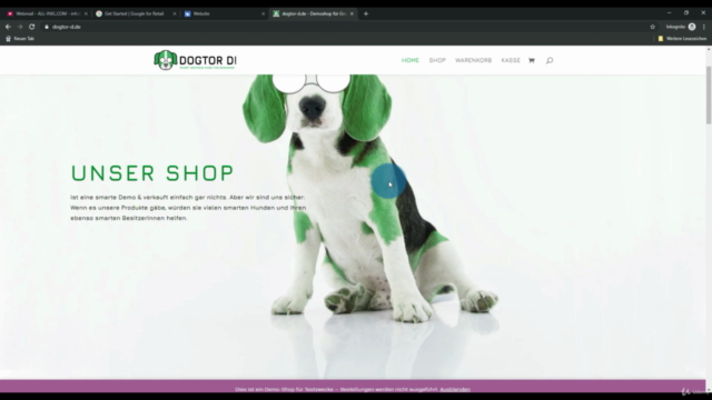 In 1 Stunde zu deiner ersten Google Shopping Kampagne – Screenshot 1
