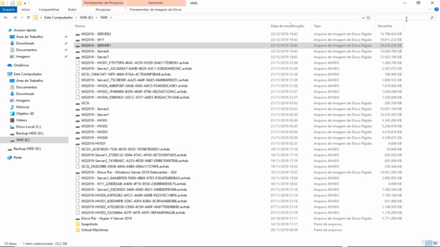 Windows Server 2016 - do AVANÇADO AO PROFISSIONAL - Screenshot_03