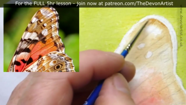 How To Paint a Realistic, Detailed, Butterfly in Watercolour – Screenshot 1