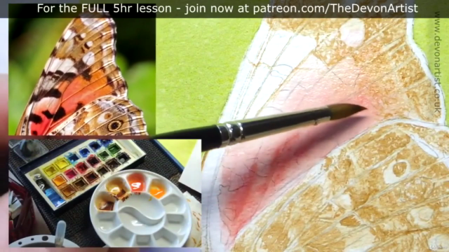 How To Paint a Realistic, Detailed, Butterfly in Watercolour – Screenshot 2