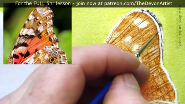 How To Paint a Realistic, Detailed, Butterfly in Watercolour – Screenshot 3
