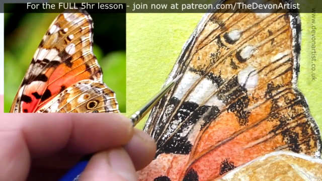 How To Paint a Realistic, Detailed, Butterfly in Watercolour – Screenshot 4