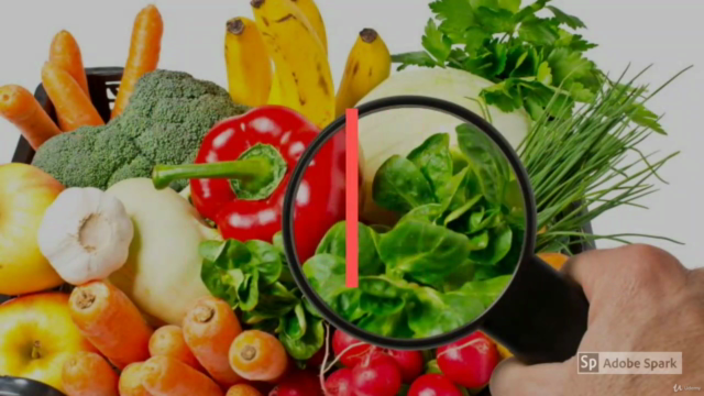 HACCP - Hazard Analysis Critical Control Point Certification – Screenshot 3