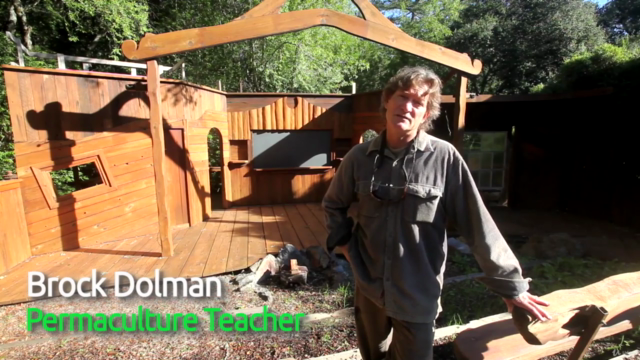Permaculture Made Easy! A Design Course for Sustainability! – Screenshot 3