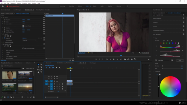 Color Correction & Grading with Adobe Premiere Pro 2022 - Screenshot_03