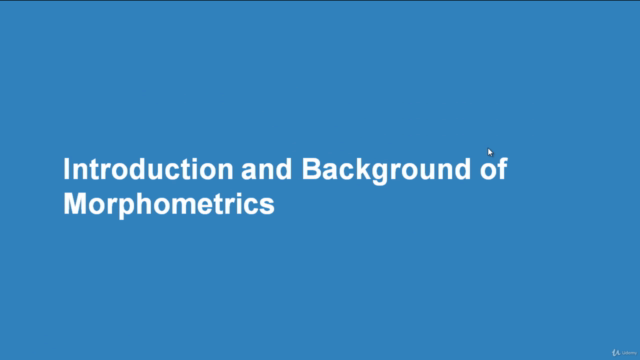 Practical Morphometrics Analysis (2D Model) – Screenshot 1